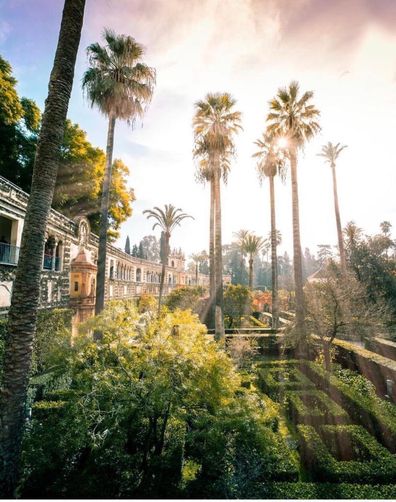 Budget And Cute Rooms With Balcony Sevilla Center エクステリア 写真